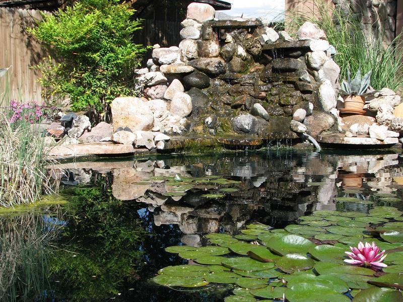 Mountain Valley Lodge Rodeo Εξωτερικό φωτογραφία