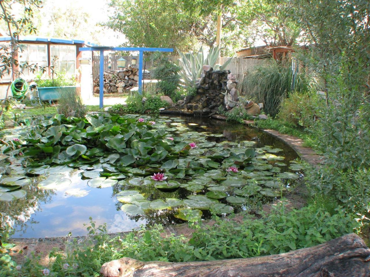 Mountain Valley Lodge Rodeo Εξωτερικό φωτογραφία